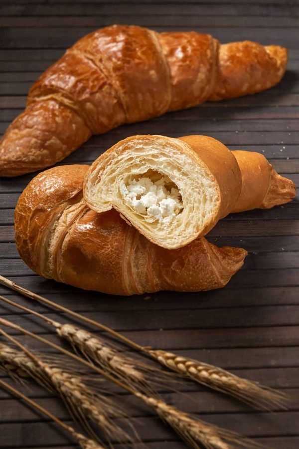 32fbea4b-9d47-421e-a301-77b3f43fbfc5-scaled